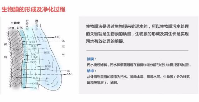 沐歌環(huán)保